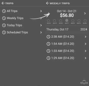 This is the weekly trips view. This view allows to see weekly based trips.